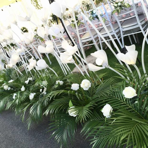 21078708_1941139616211318_2623988911214515565_n